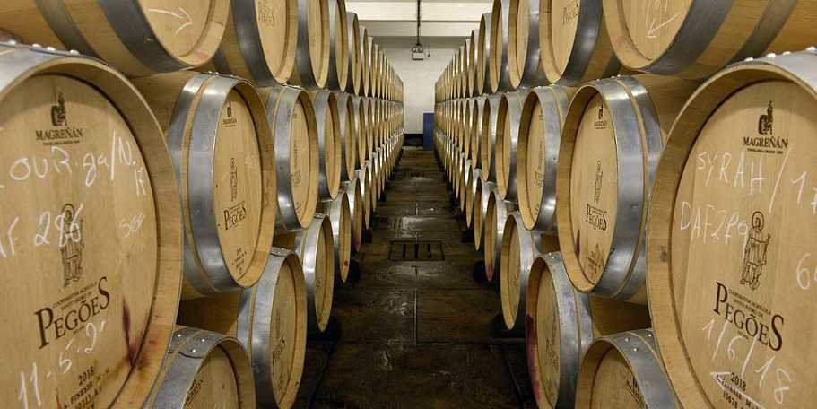 Pegões Wine Cellar - Photo: reproduction