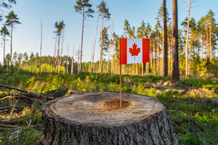 Photo: Getty Images/Environment Journal