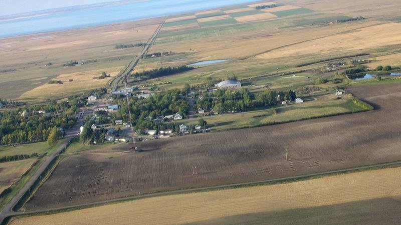 © Tammy Mcallister Dreamstime.com